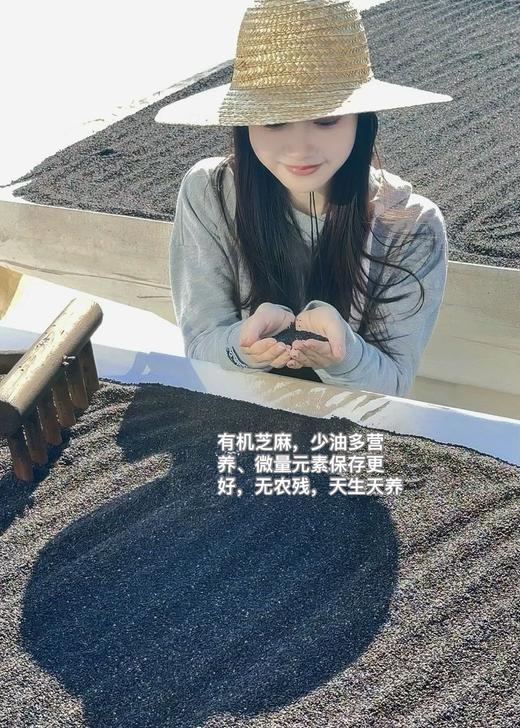 【有机黄精芝麻丸2.0】有机黑芝麻｜生态黄精｜完全不油 不齁甜 不加任何糖分粘合剂｜养发 养 肾精 充足的钙和阳光能量 矿物质丰富 商品图2