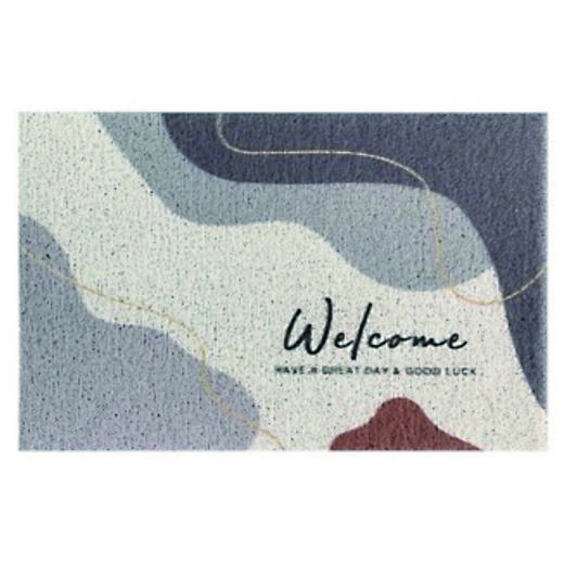 众立丝圈入户门地垫 商品图0