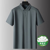 【桑蚕丝】【DPS】大依优型大码短袖POLO衫高端大码半袖翻领体恤男胖子运动休闲含桑蚕丝 商品缩略图0