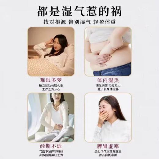 斐元堂伏湿膏 300/瓶 商品图2