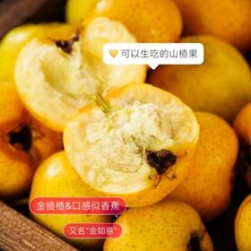 金楂楂/红楂楂 【非传统山楂 可以生吃的甜味小山楂】