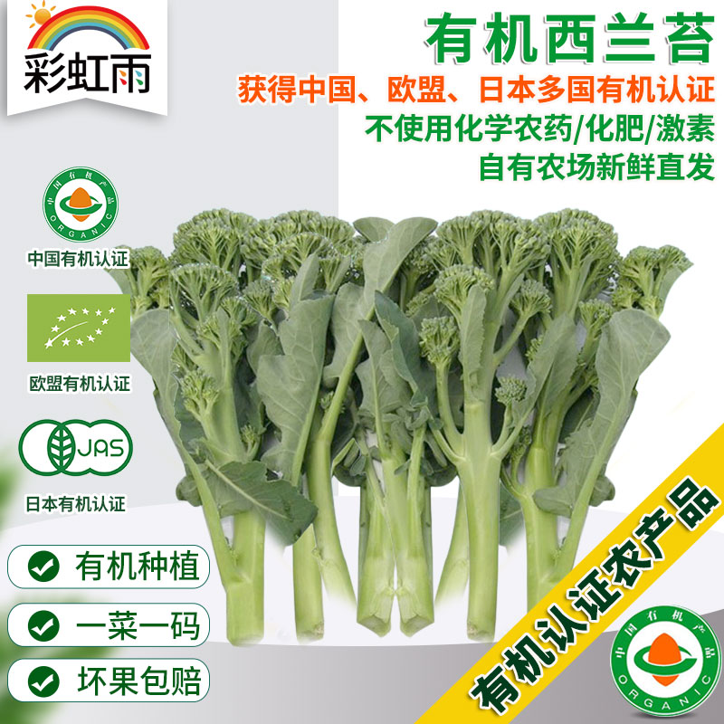 全国满额包邮 彩虹雨农场 有机蔬菜 新鲜青菜蔬菜西兰苔250g欧盟认证