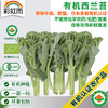 全国满额包邮 彩虹雨农场 有机蔬菜 新鲜青菜蔬菜西兰苔250g欧盟认证 商品缩略图0