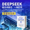 高效使用DEEPSEEK实现智能、高效、创新的效率指南 商品缩略图4