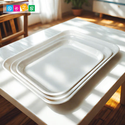 蒙氏生活区蒙台梭利博苑幼儿园教具托盘长方形塑料大中小号多色 商品图1