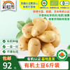 包邮【基地直发】有机蔬菜 现挖土豆4斤/6斤/10斤装欧盟认证食用 商品缩略图5