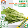 彩虹雨农场  新鲜有机蔬菜 茼蒿蓬蒿250g  欧盟认证全国发货满额包邮 商品缩略图0