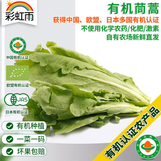 彩虹雨农场  新鲜有机蔬菜 茼蒿蓬蒿250g  欧盟认证全国发货满额包邮 商品图0