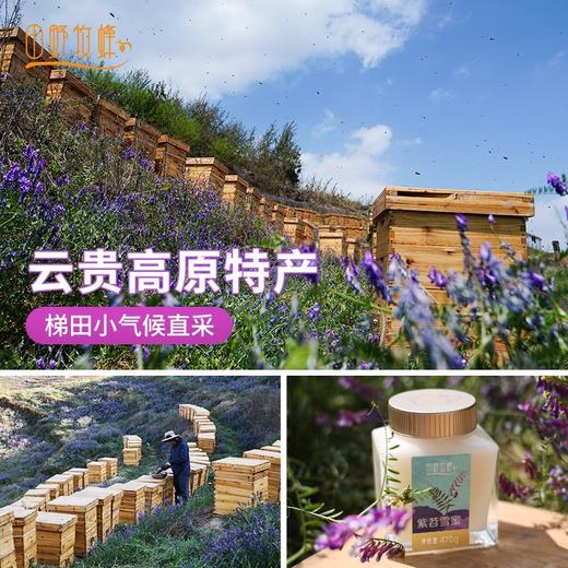 【2025新蜜】早春头茬新蜜紫苕雪蜜 以百养白被称为“女神蜜” 商品图2