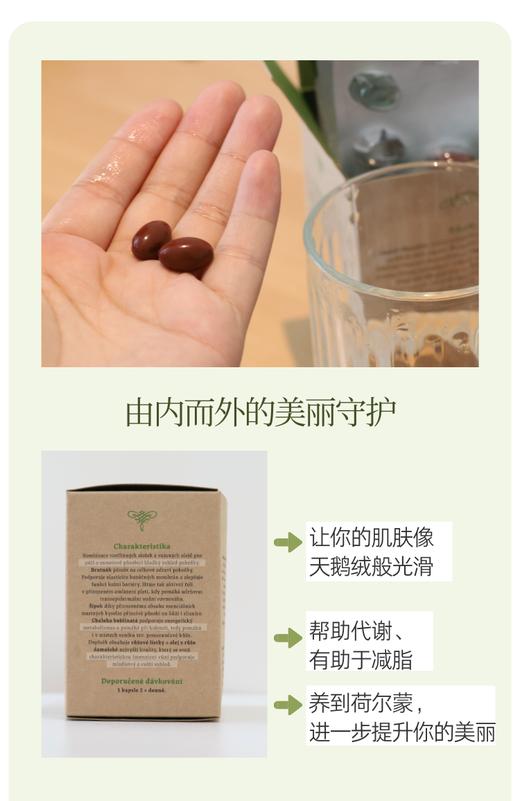 新版排毒晶球！捷克Hildegard Medizin圣希尔德佳德玫瑰美丽胶囊精油丸60粒 王牌琉璃苣油+大马士革玫瑰精油 商品图7