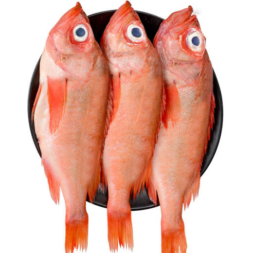 【顺丰冷链直发❗鲜冻红石斑鱼】让您足不出户吃上新鲜海味，从深海到餐桌看得见的品质，特大鲜活冷冻富贵鱼，新鲜长寿鱼东星斑L 商品图3