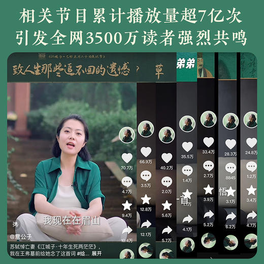 人生得遇苏东坡（鲜章版） 商品图1