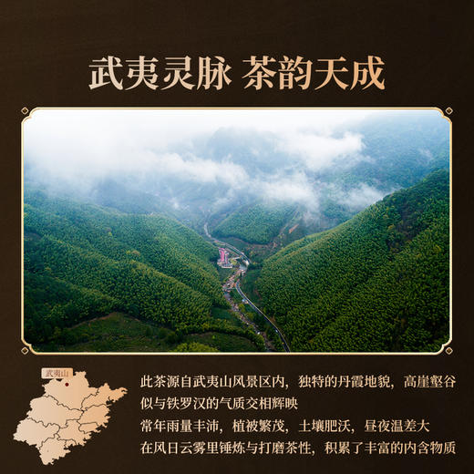 正山堂岩语 铁罗汉礼盒装铁骨铮铮 特级武夷山岩茶正宗四大名丛茶叶送礼51g 商品图3