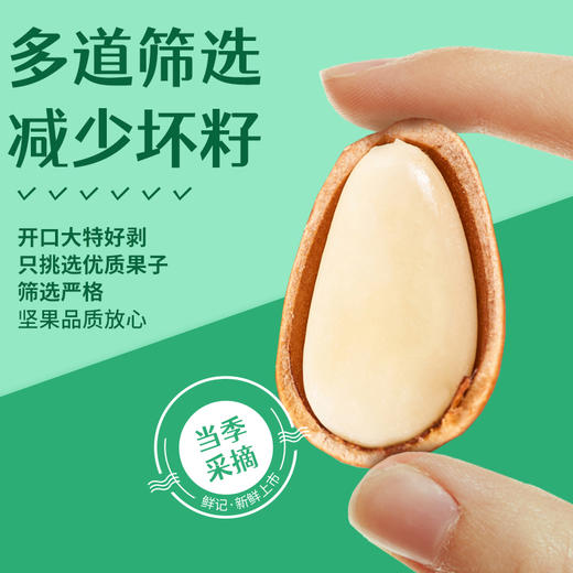 【鲜记】开口松子 468g 博士帽罐装 商品图5