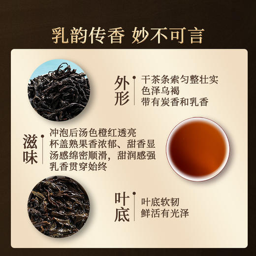 正山堂岩语 武夷名丛聆泉入涧石乳礼盒装 特级正宗乌龙茶叶送礼长辈51g 商品图4