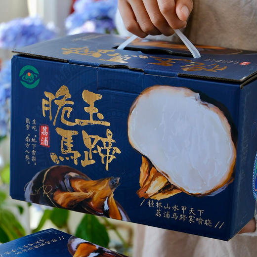 清润甜爽的荔浦马蹄荸荠（送削皮刀），生熟两吃   顺丰包邮 商品图13