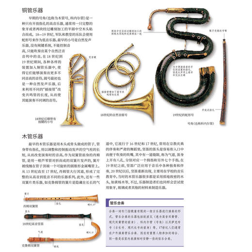 《DK古典音乐大百科》 商品图8