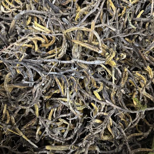 石仙桃 石橄榄  果上叶 商品图3