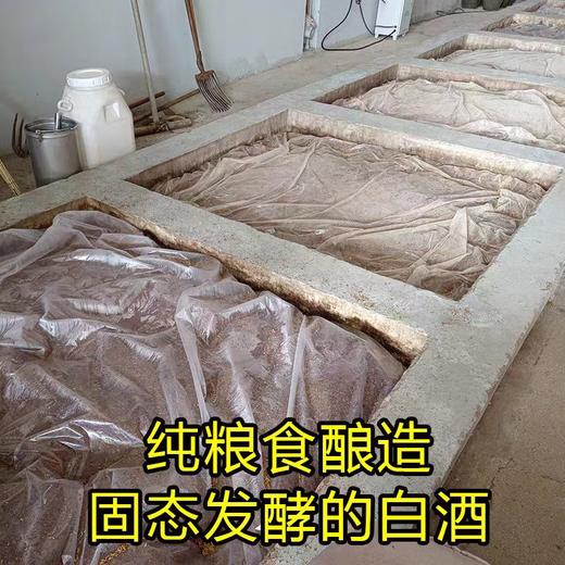自营（九王府）-山东即墨特产康酒槽烧酒52度高度纯粮食白酒清香型固态发酵造白酒 商品图3