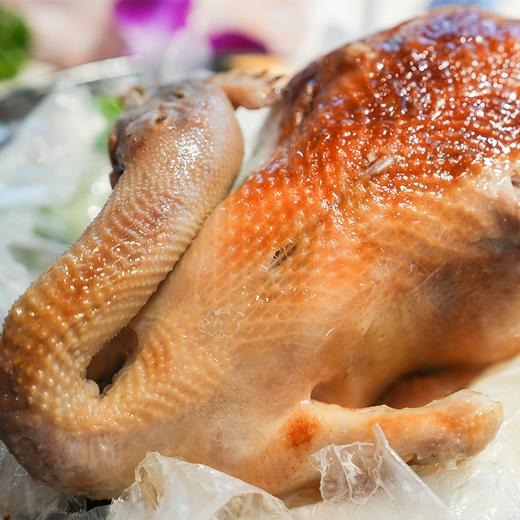 【琼菜人家】海南文昌鸡盐焗鸡手撕鸡咸香鸡整只真空熟食盐局鸡土鸡海南特产 商品图0