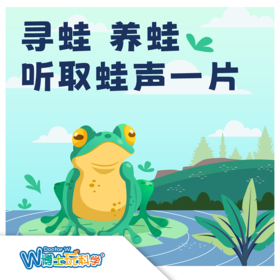 【北京】奥森听取蛙声一片（领养角蛙）