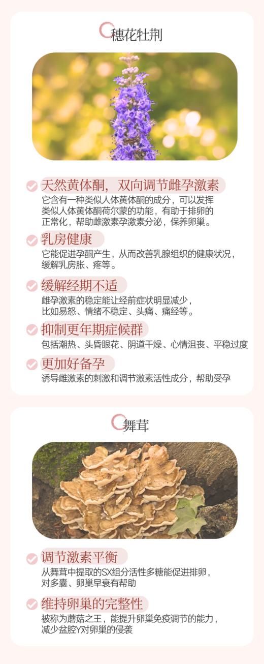 捷克圣希尔德佳德卵巢健康胶囊 调补同步卵巢年轻态120粒 商品图8