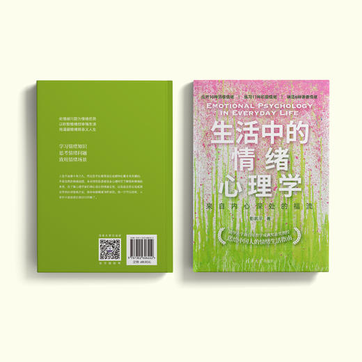 《生活中的情绪心理学：来自内心深处的福流》 商品图6