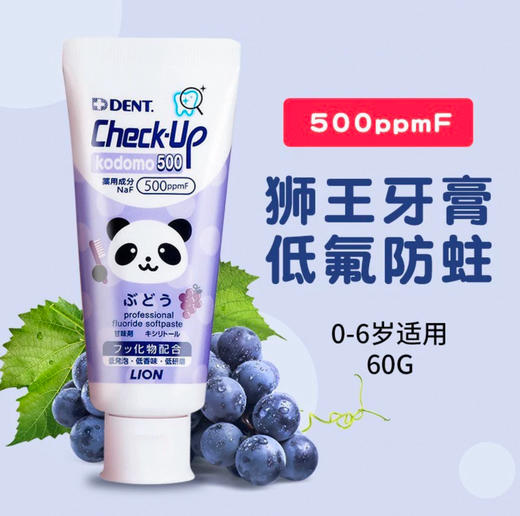 日本 狮王儿童专业防蛀含氟儿童牙膏60g 商品图1
