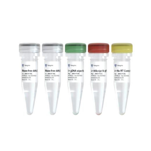 HiScript IV RT SuperMix for qPCR（+gDNA wiper） 商品图1
