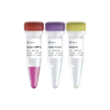 Mycolor One-Step Mycoplasma Detector 商品缩略图0