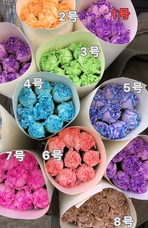 吸色康乃馨（下单备注颜色） 商品图0