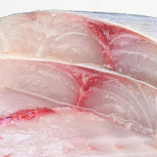 【顺丰冷链直发❗新鲜银鲳鱼】让您足不出户吃上新鲜海味，从深海到餐桌看得见的品质，特大鲜活冷冻白鲳鱼，速冻海捕野生海鱼L 商品图2