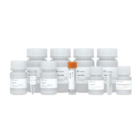 FastPure EndoFree Plasmid Mini Kit