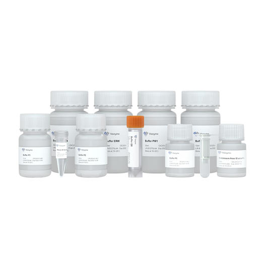 FastPure EndoFree Plasmid Mini Kit 商品图0