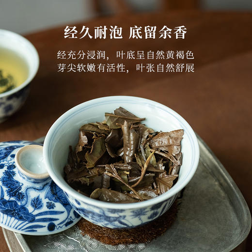 「北路白茶」灵蛇 福鼎白茶寿眉2021年老白茶生肖茶叶礼盒装200g 商品图3