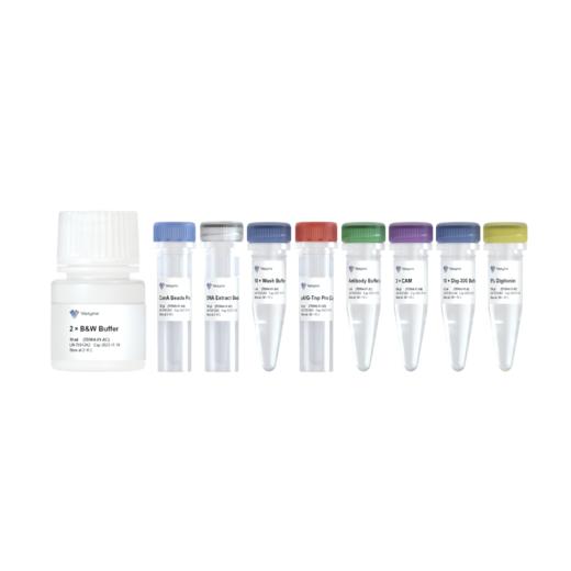 Hyperactive Universal CUT&Tag Assay Kit for Illumina Pro 商品图0
