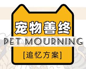 到店·宠物善终/追忆方案