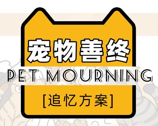 到店·宠物善终/追忆方案 商品图0
