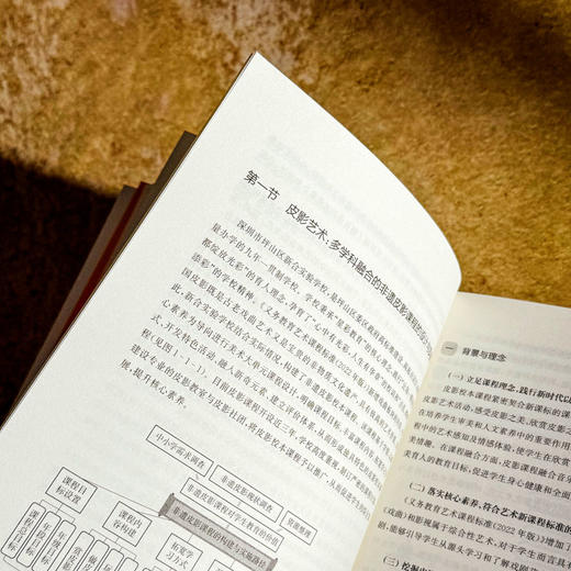 美术特色课程设计与实施 课程治理现代化丛书 冯焕明 教师用书 商品图8