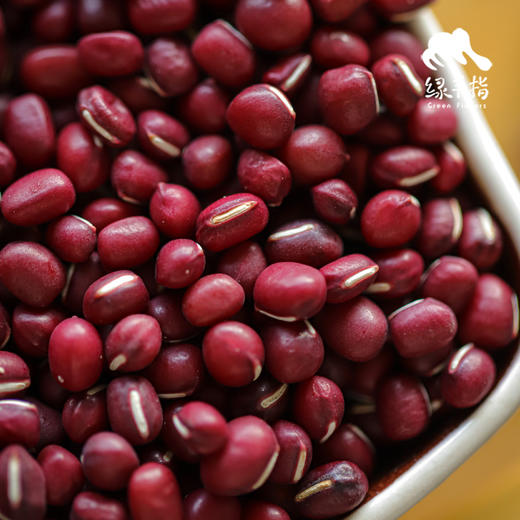 生态青皮黄豆/黑豆/红豆（适合发芽） | 合作生产*Ecological bean | Partner Production 商品图2