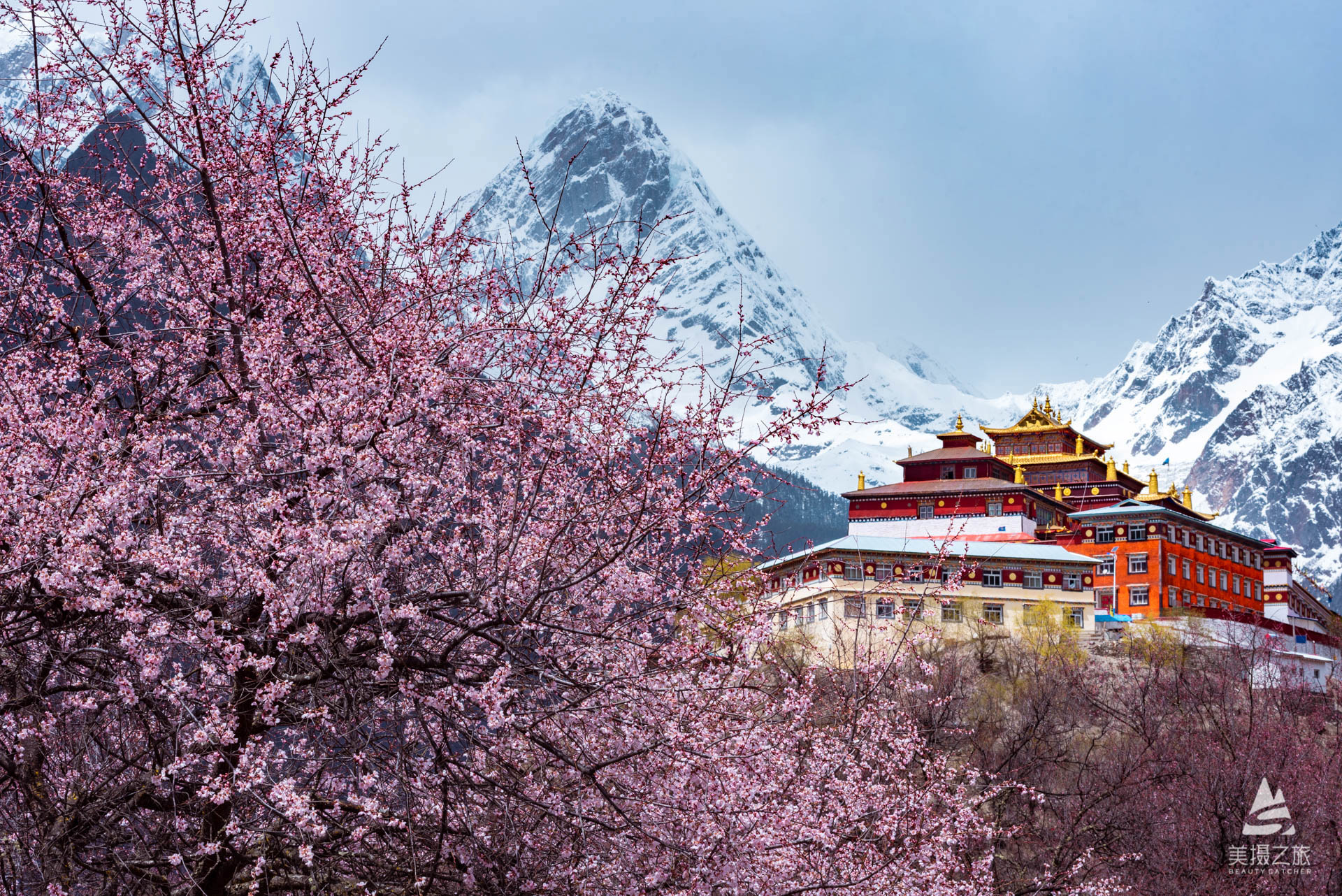 【4月9日-20日｜新藏东秘境】念青东×绝美雪山×桃花盛宴