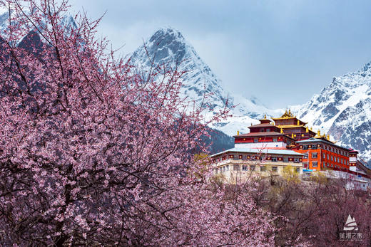 【4月9日-20日｜新藏东秘境】念青东×绝美雪山×桃花盛宴 商品图0