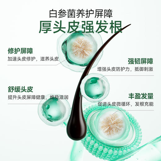 荷馨白参菌次抛精华液1.6ml*25支（到手5排） 商品图6