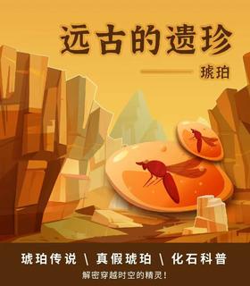 西北大学博物馆 |【远古遗珍 琥珀】