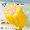 朴愿甄选   帅农人有机玉米|来自长白山脉的黑土味道 商品缩略图0