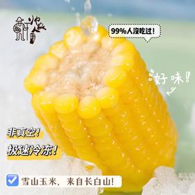 朴愿甄选   帅农人有机玉米|来自长白山脉的黑土味道
