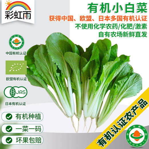 全国发货满额包邮 有机蔬菜 小白菜250g  欧盟认证彩虹雨农场 商品图0