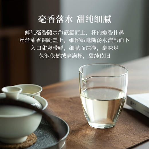 「北路白茶」老北路 福鼎白茶白毫银针饼茶2024新茶茶叶口粮茶21g 商品图2