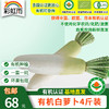 【基地直发】有机白萝卜4斤/6斤/10斤装欧盟认证新鲜现发包邮 商品缩略图0