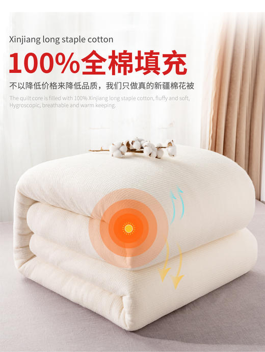 【无科技100%新疆棉】新疆长绒棉棉被 商品图0